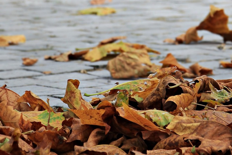 Autunno, cadono le foglie......... e anche i capelli!