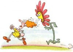Allergia? Scegli un aiuto dalla natura!