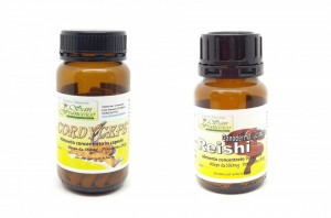 La micoterapia: una miniera d'oro