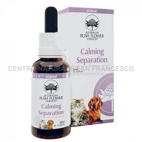 Calming Separation Pets