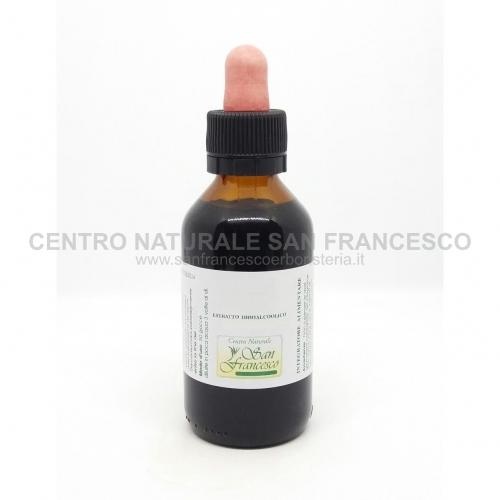 Estratto idroalcolico di betulla (betula alba) 100 ml