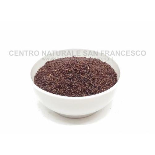 Psillio biologico semi neri lucenti 100 grammi