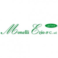 MONELLI EZIO