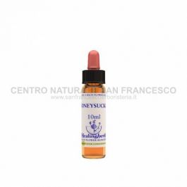 Honeysuckle HEALING HERBS
