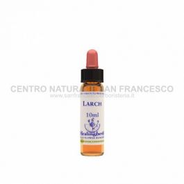 larch essenza 10 ml 1 pezzo HEALING HERBS