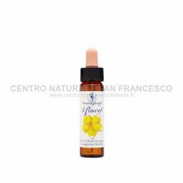 Five flowers HEALING HERBS
