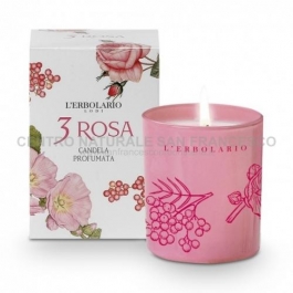 3 Rosa candela
