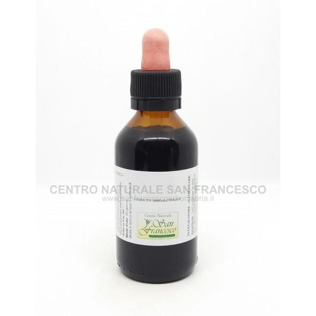 Estratto idroalcolico di echinacea 100 ml CROCE AZZURRA