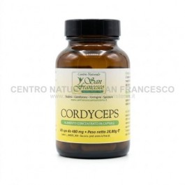 Cordyceps