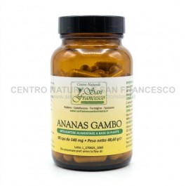 Ananas gambo IKNORES LAB. ERB. ARTIGIANALE